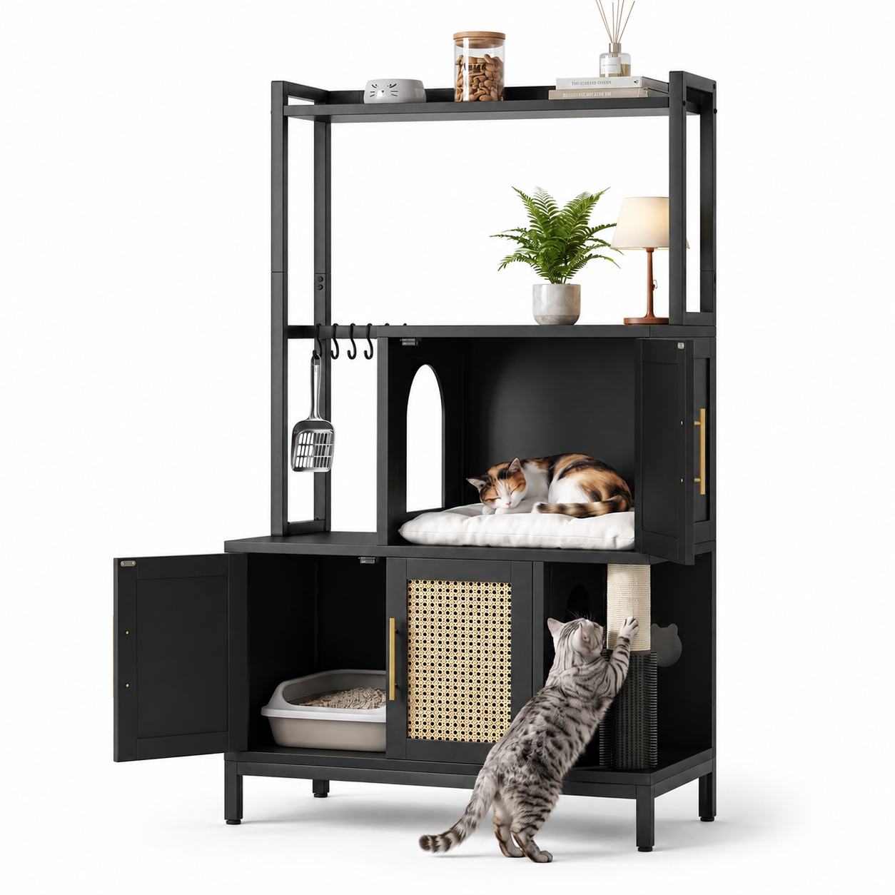 Cat Litter Box Enclosure