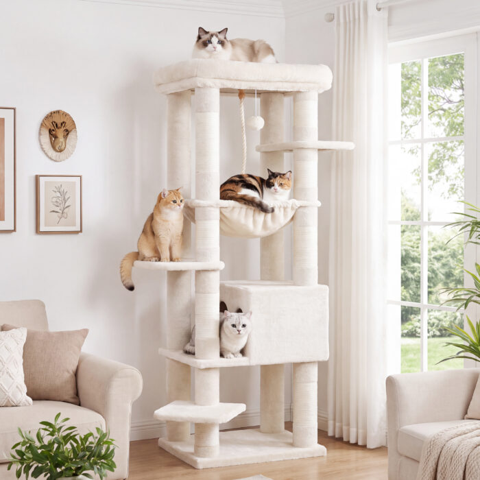 HCT050M