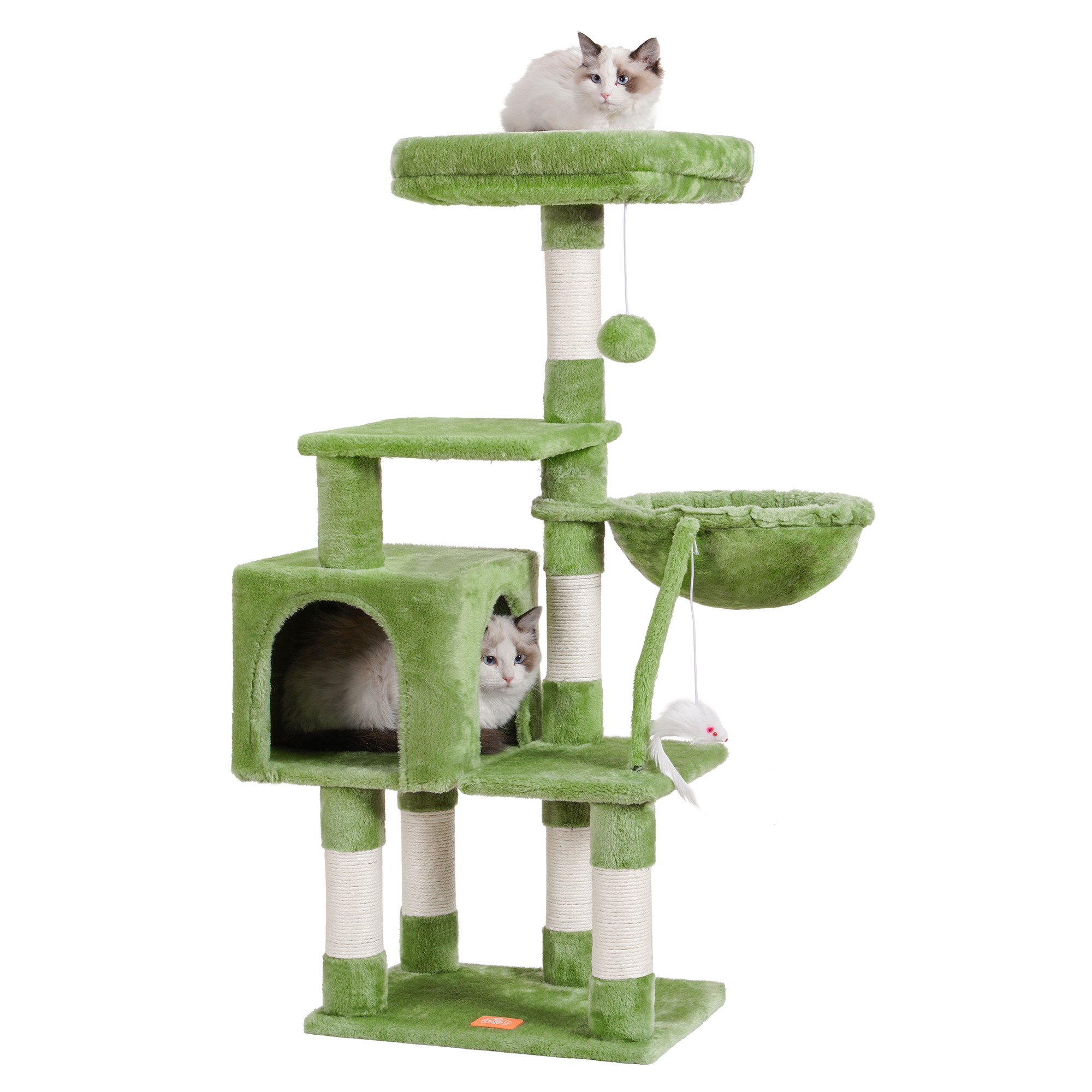 首图–猫窝P猫